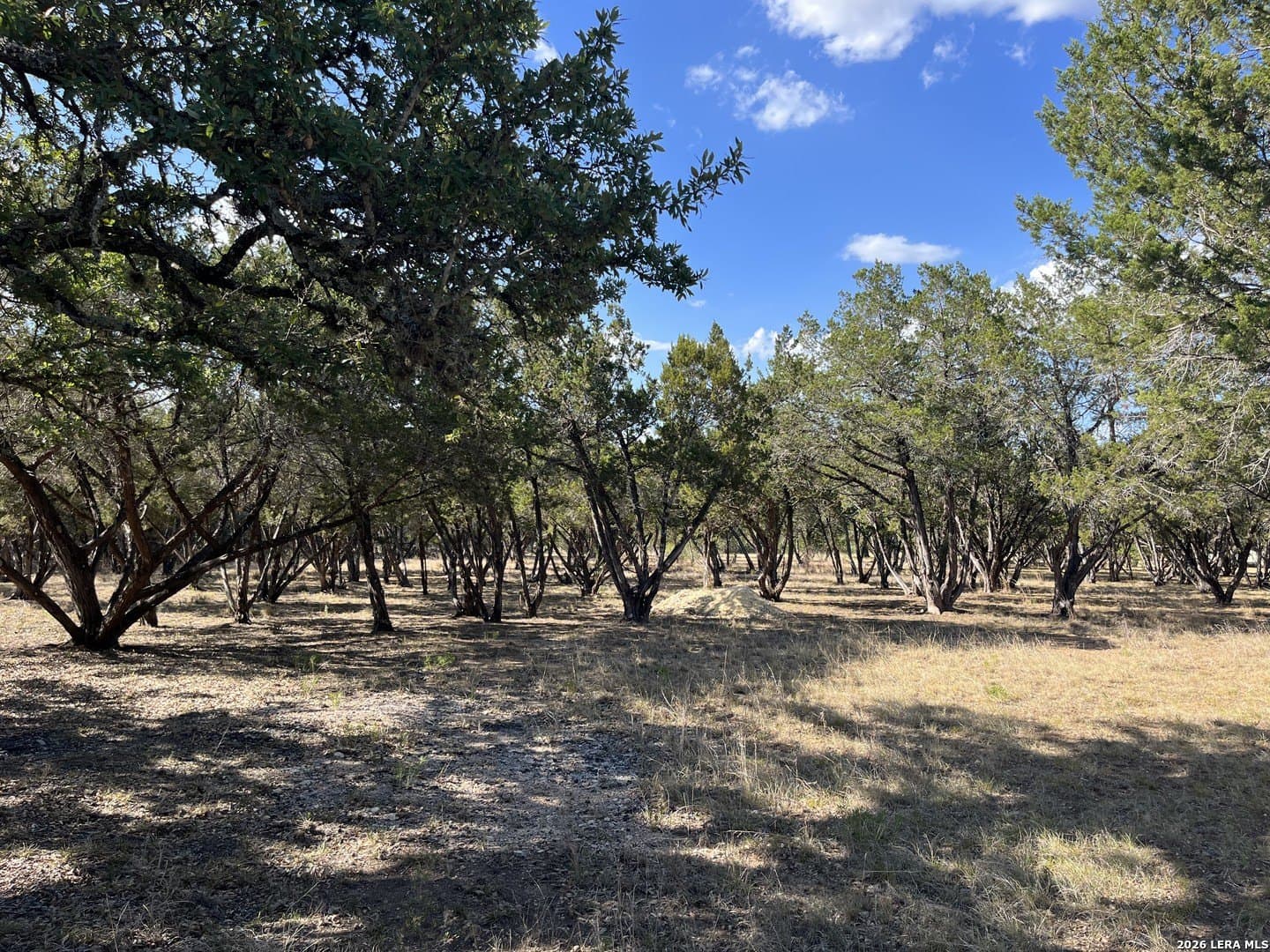2 acres in Bandera County - photo 14