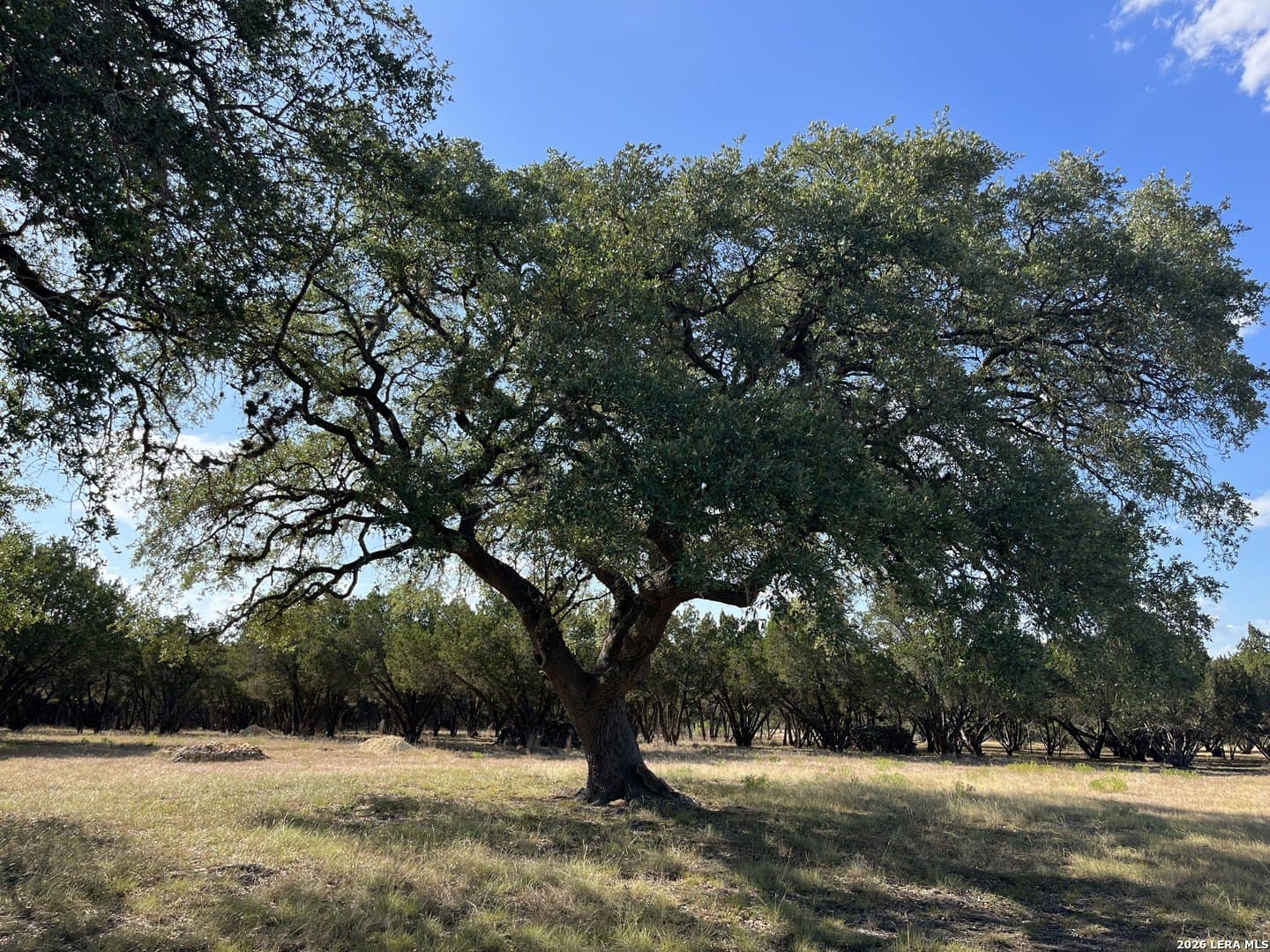 2 acres in Bandera County - photo 24