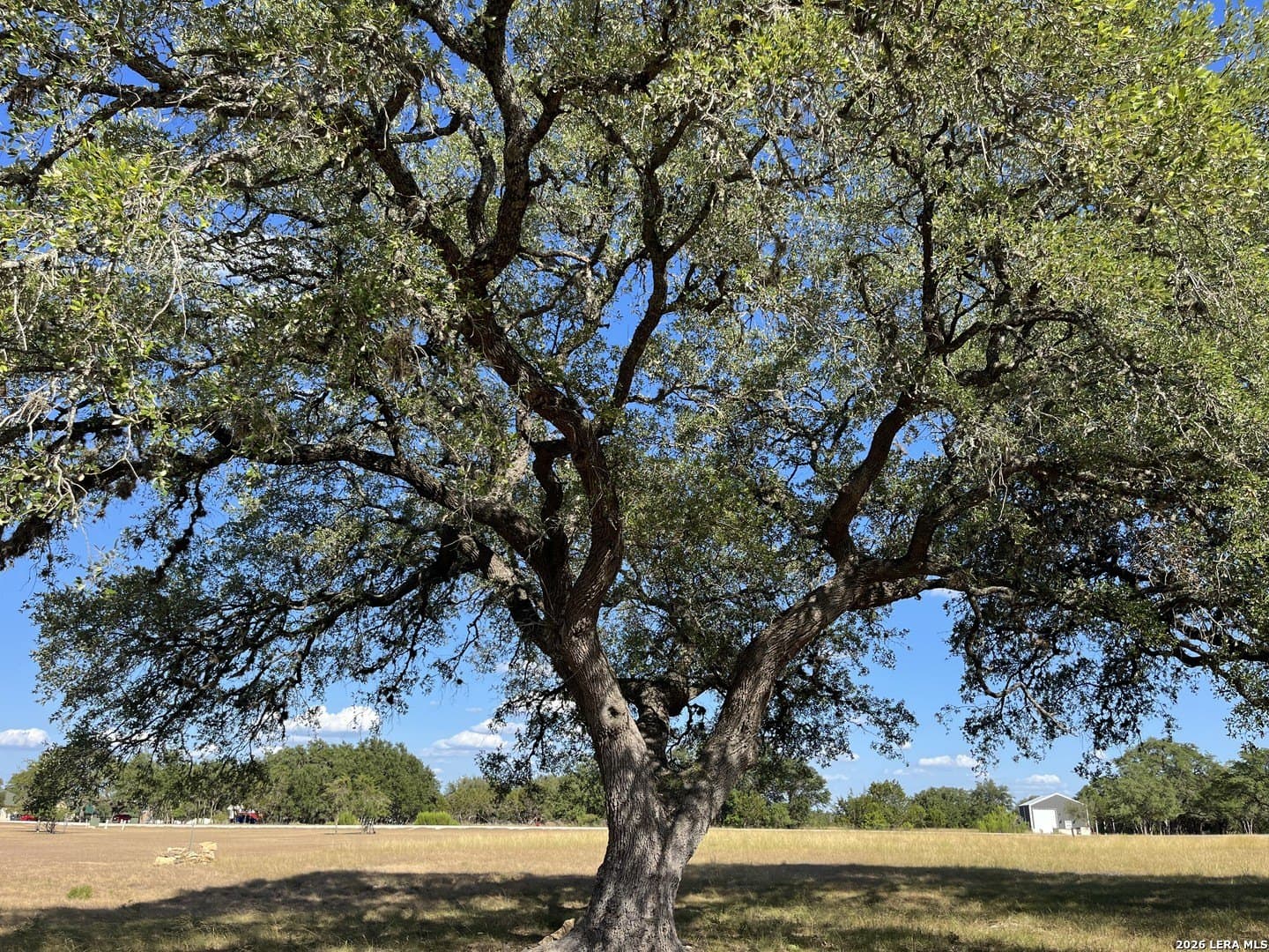 2 acres in Bandera County - photo 20
