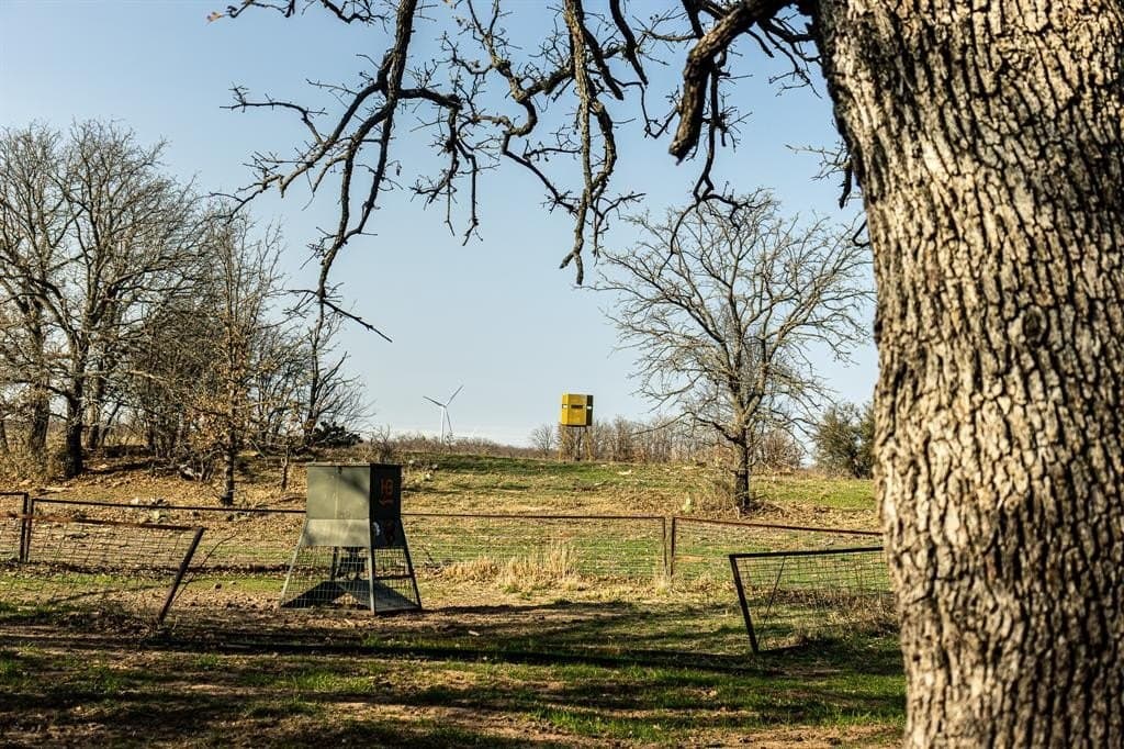 81 acres in Young County - photo 35