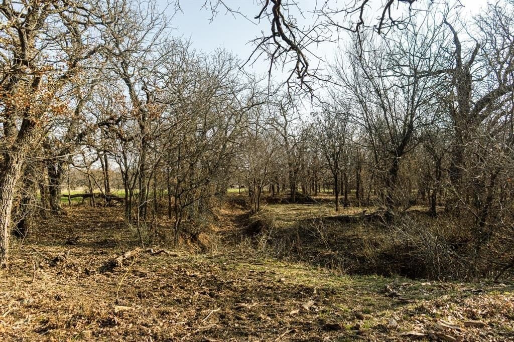 81 acres in Young County - photo 36