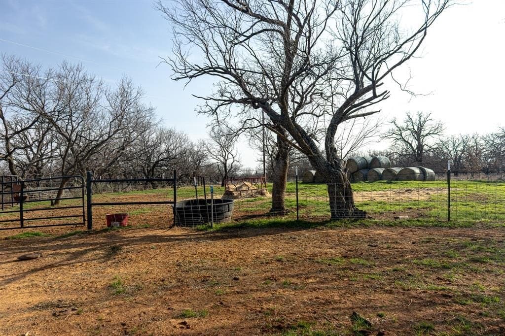 81 acres in Young County - photo 28