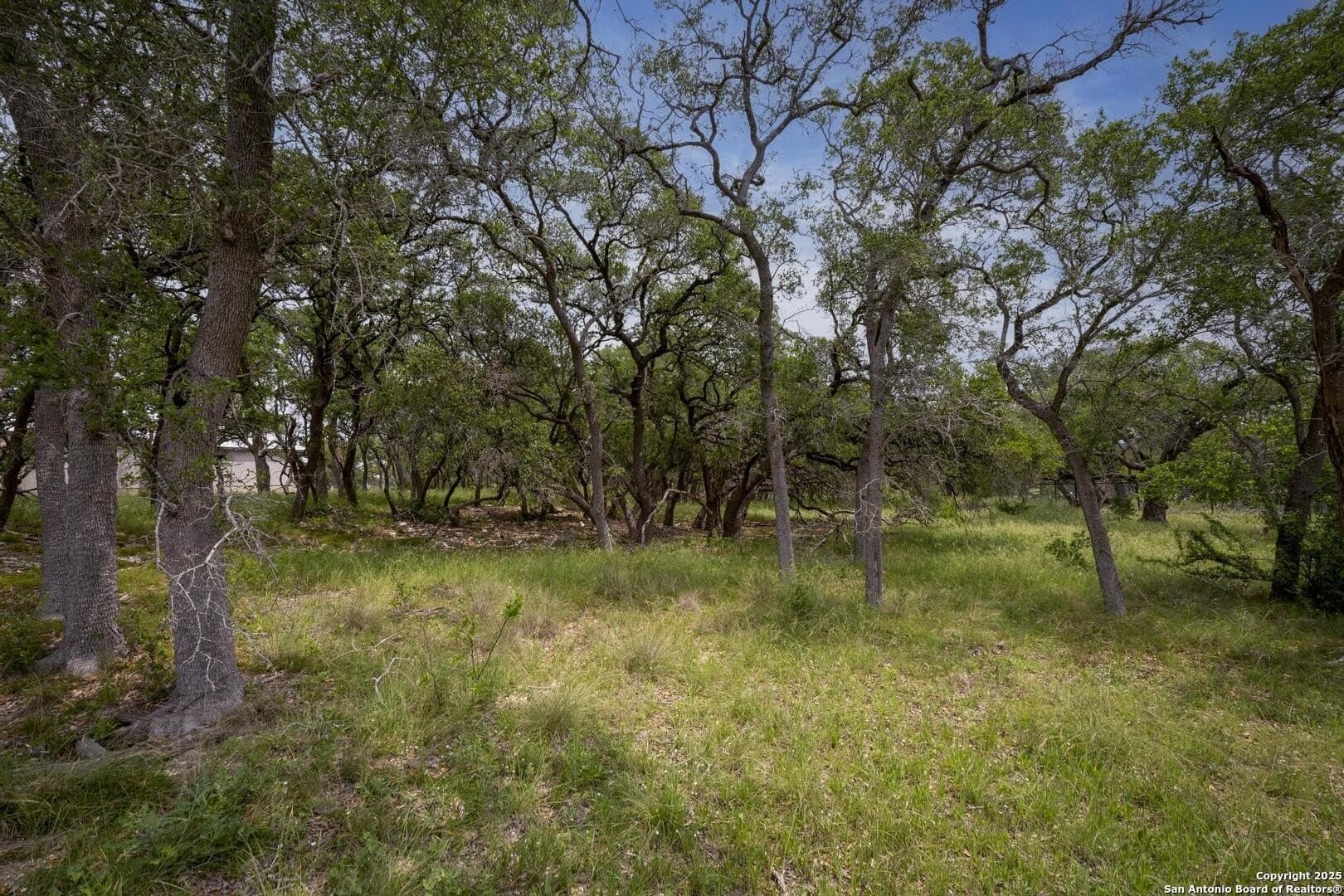1.01 acres in Comal County - photo 13