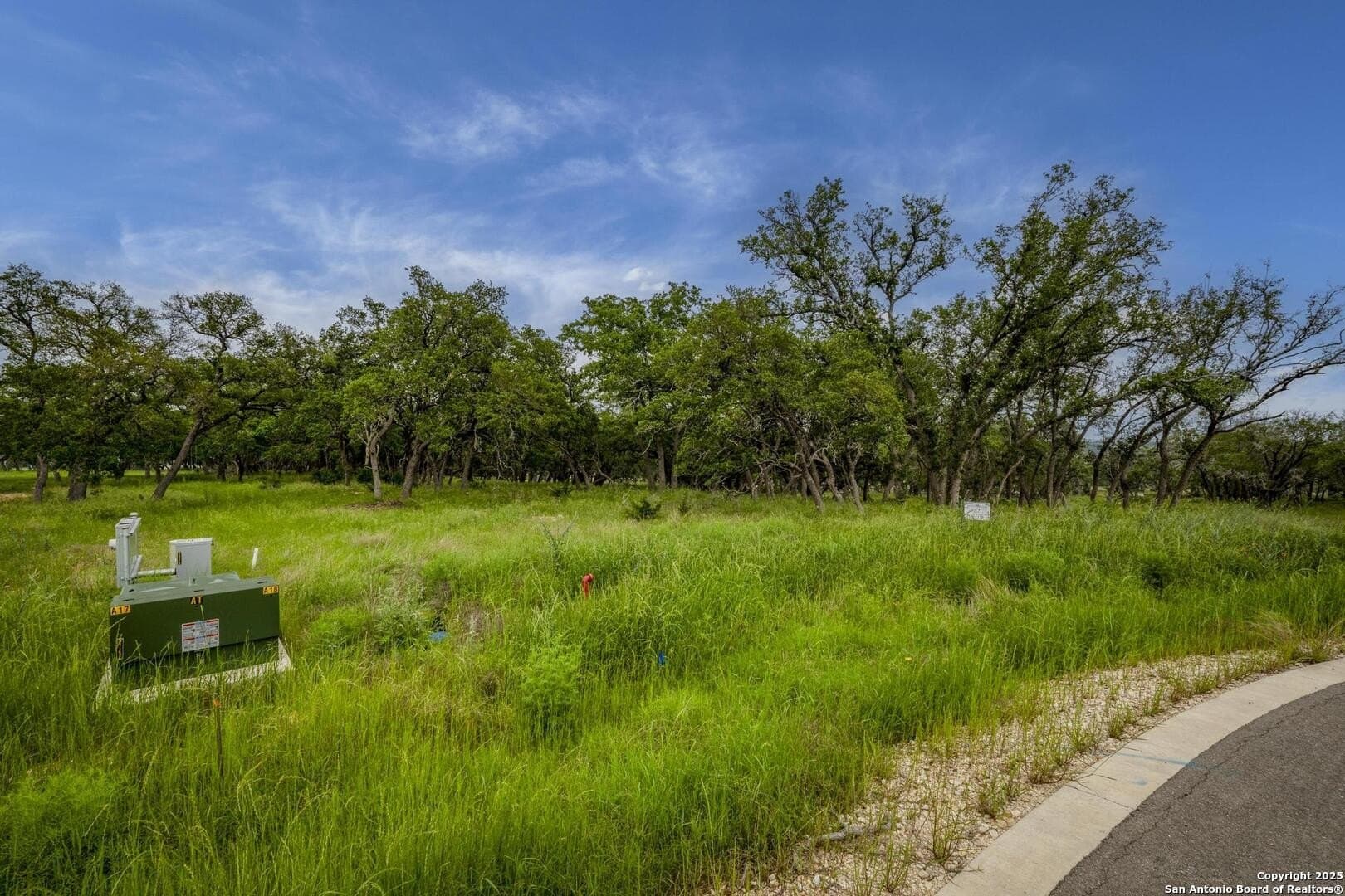 1.01 acres in Comal County - photo 9