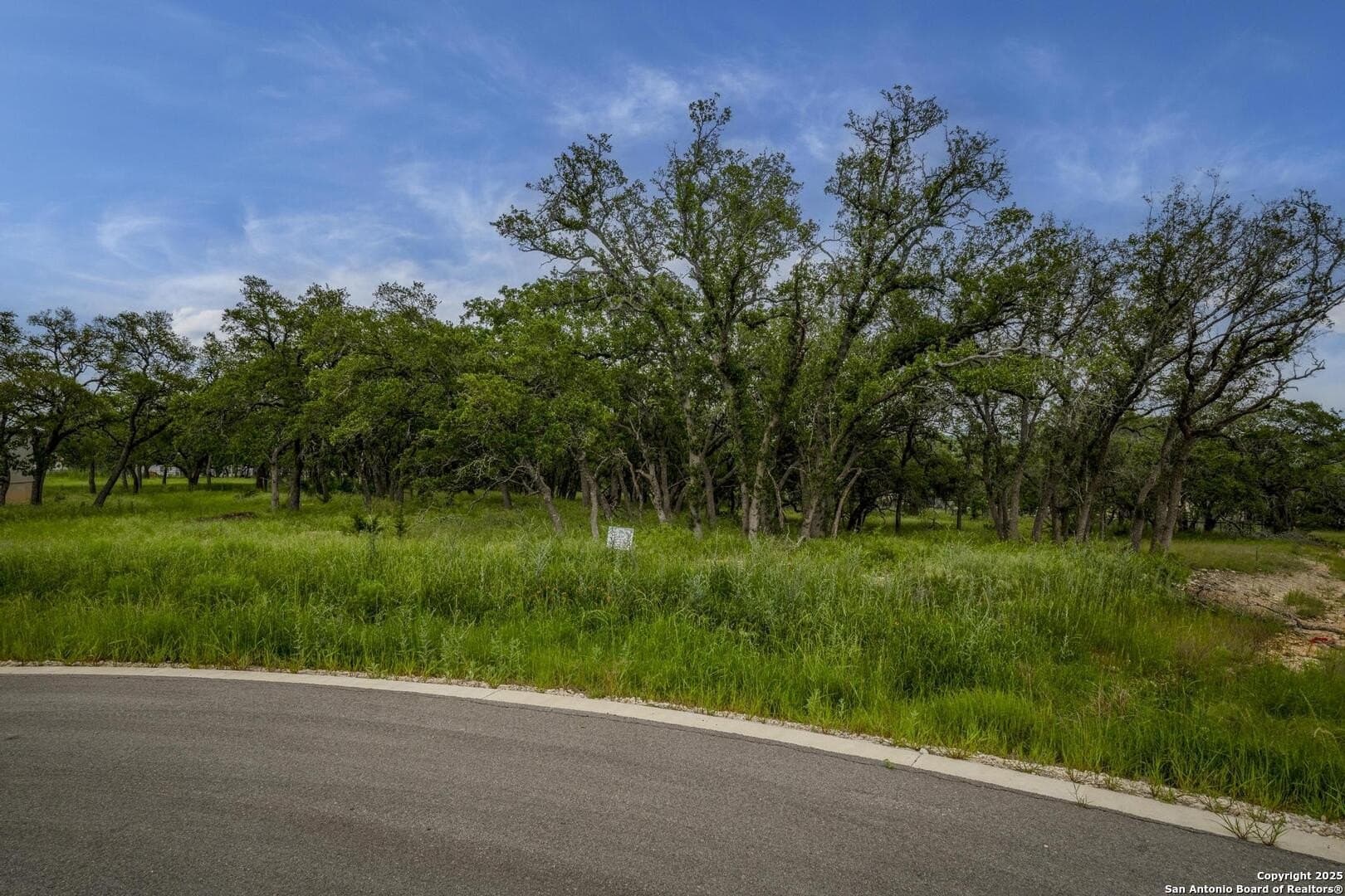 1.01 acres in Comal County - photo 8