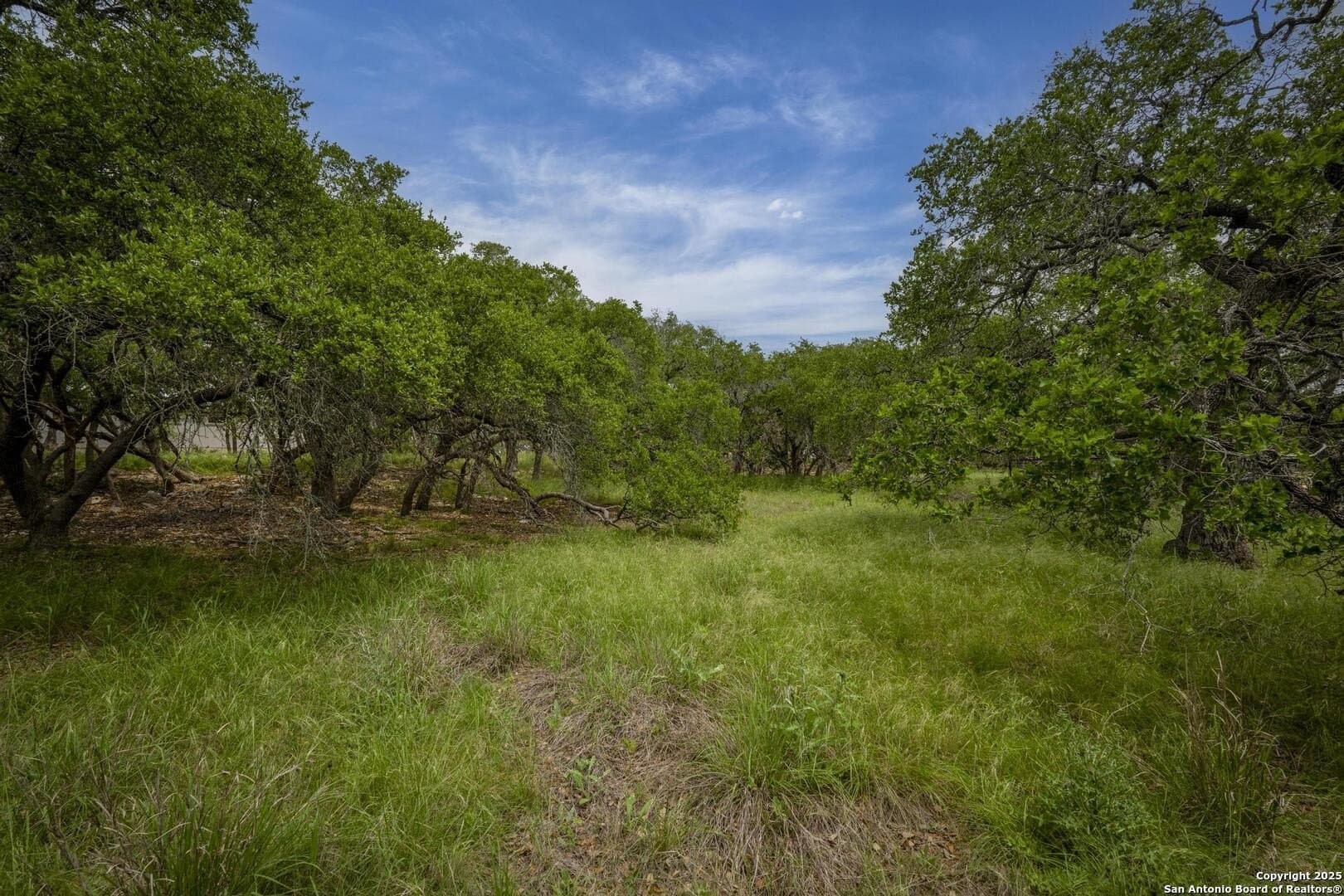 1.01 acres in Comal County - photo 10