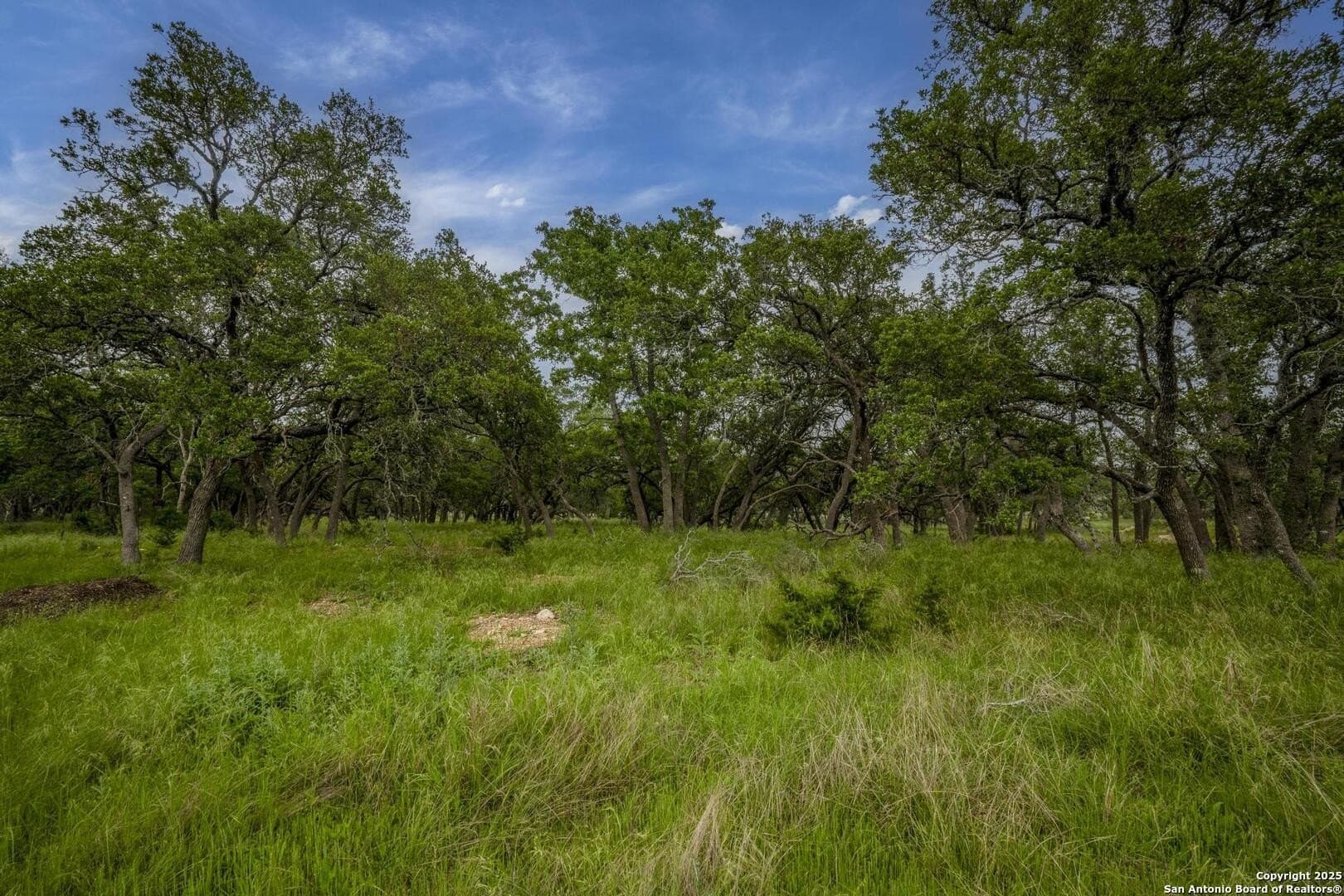 1.01 acres in Comal County - photo 16
