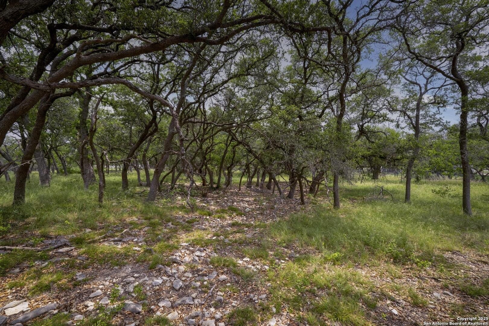 1.01 acres in Comal County - photo 12