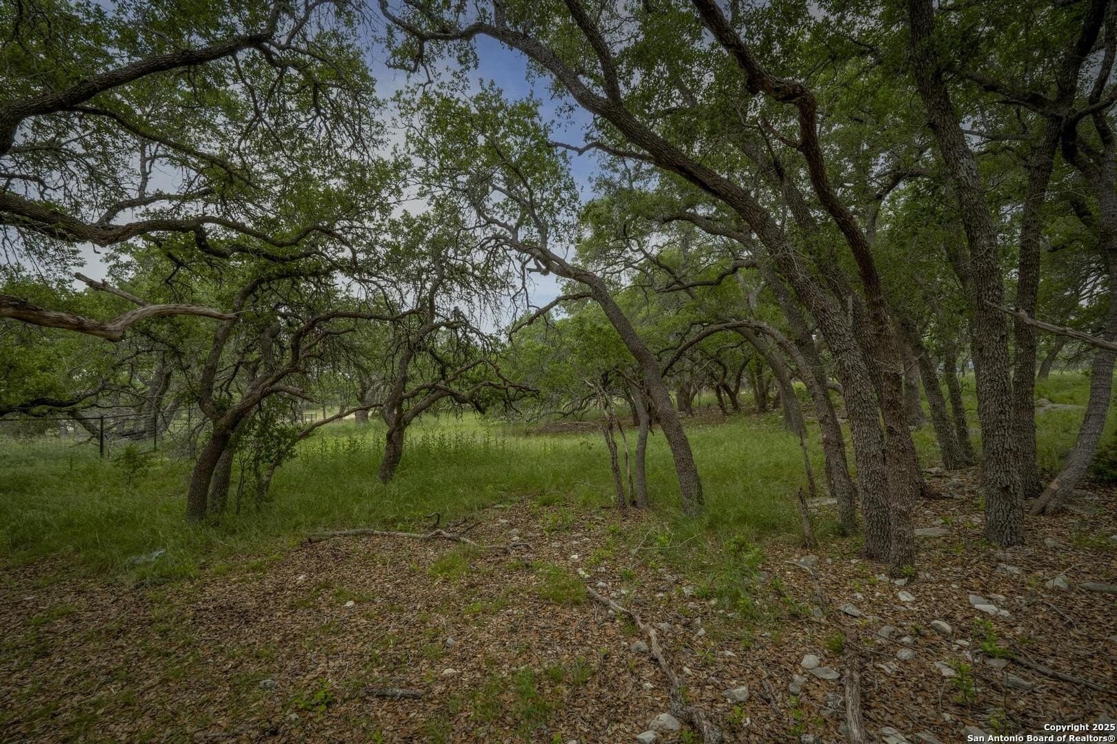 1.01 acres in Comal County - photo 11