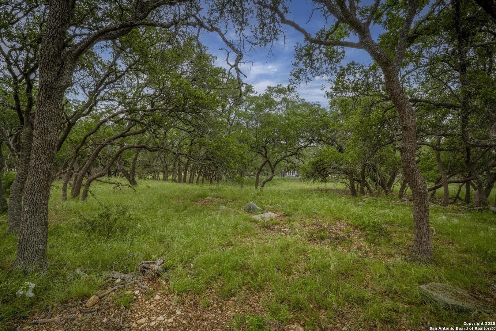 1.01 acres in Comal County - photo 15