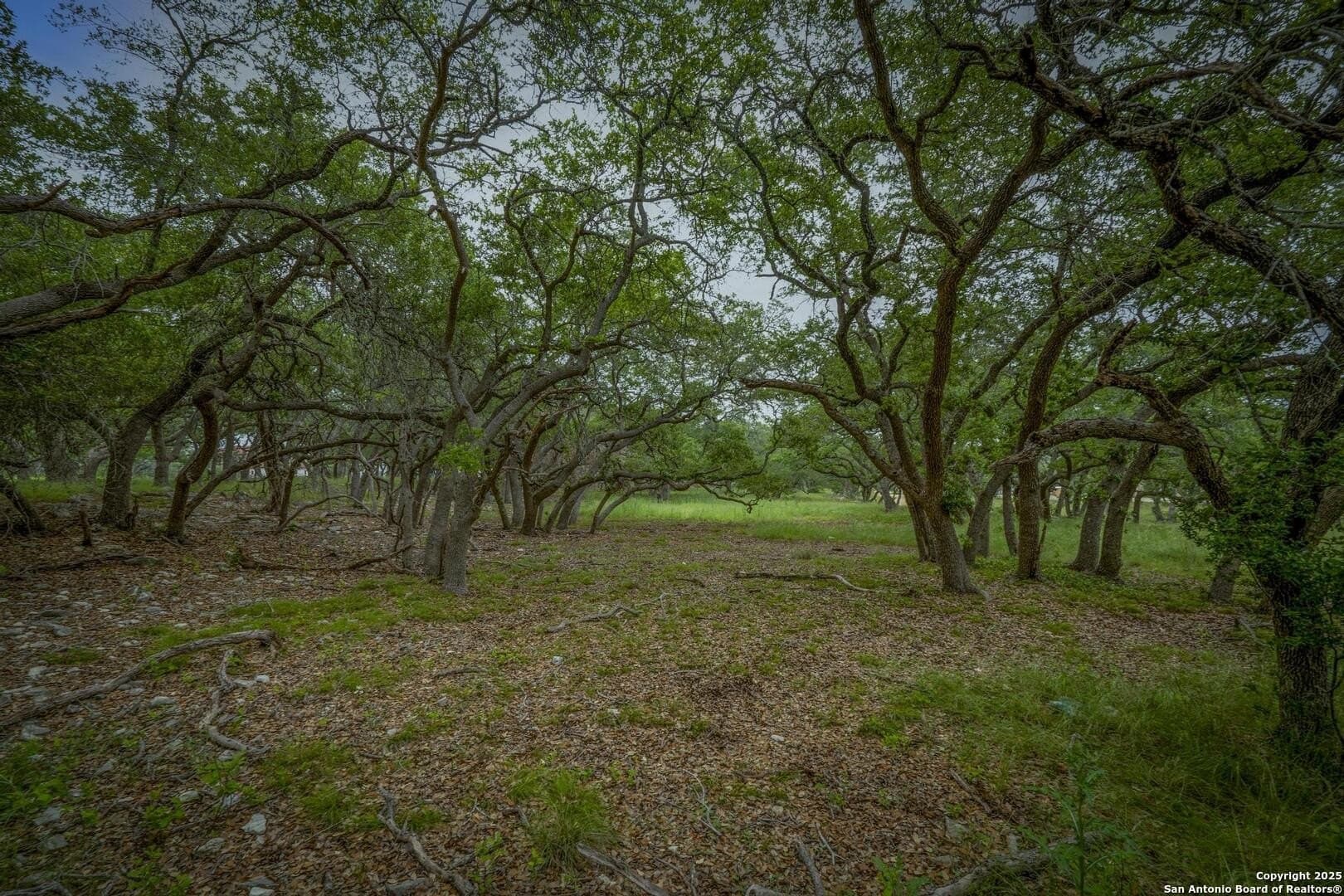 1.01 acres in Comal County - photo 14