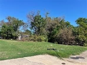 0.14 acres in Dallas County - photo 3
