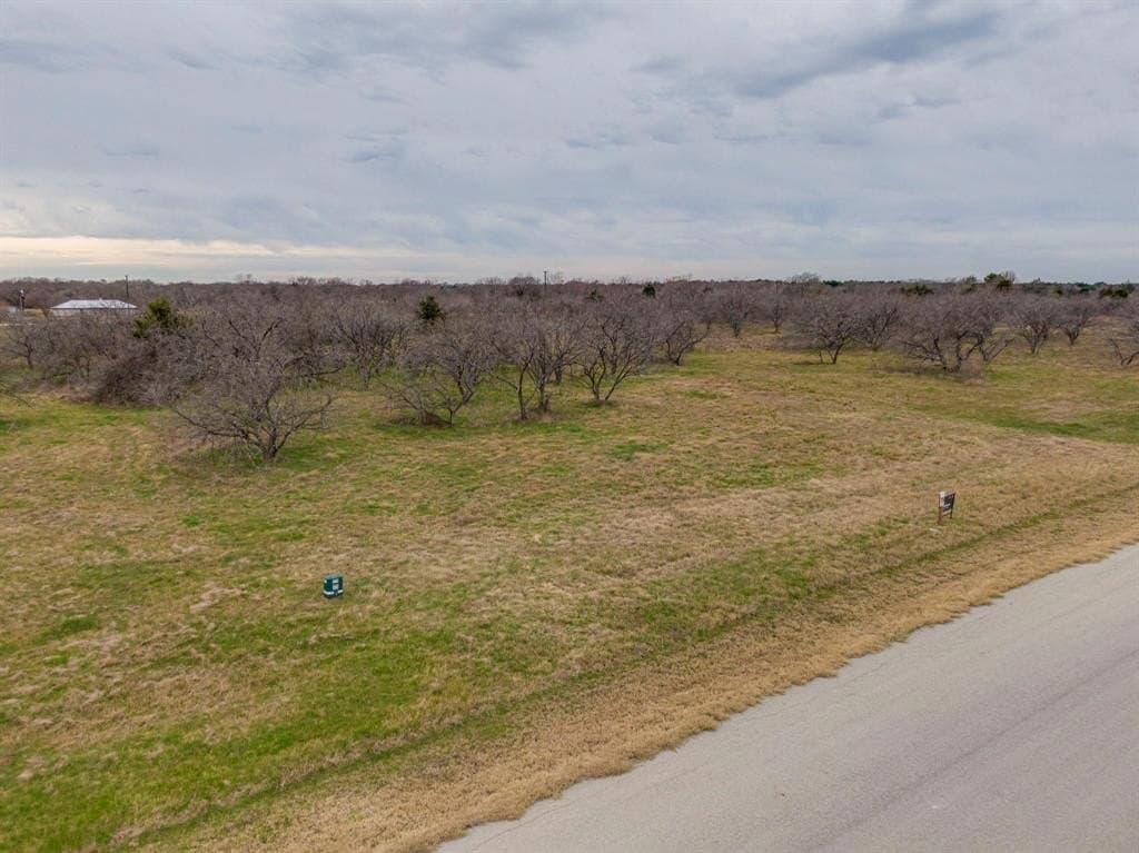 1.5 acres in Navarro County - photo 6