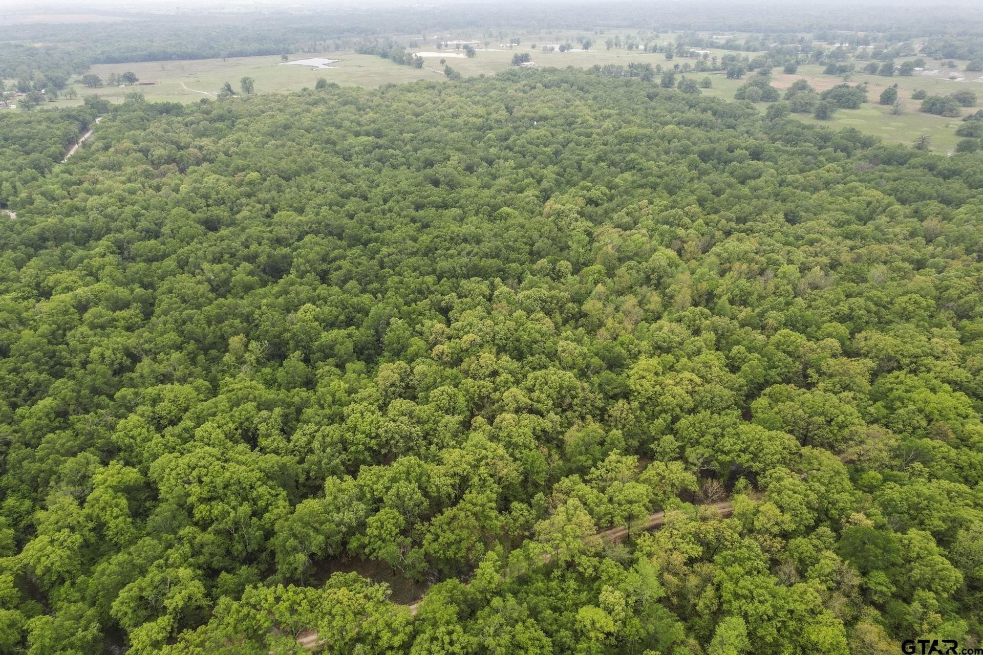 20 acres in Franklin County - photo 8