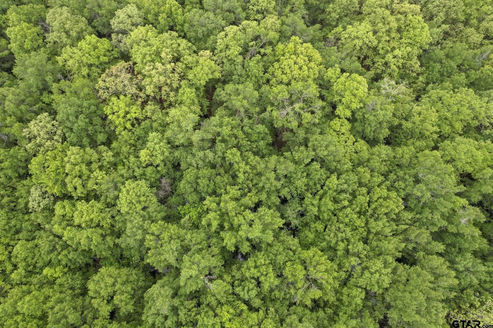 20 acres in Franklin County - photo 7
