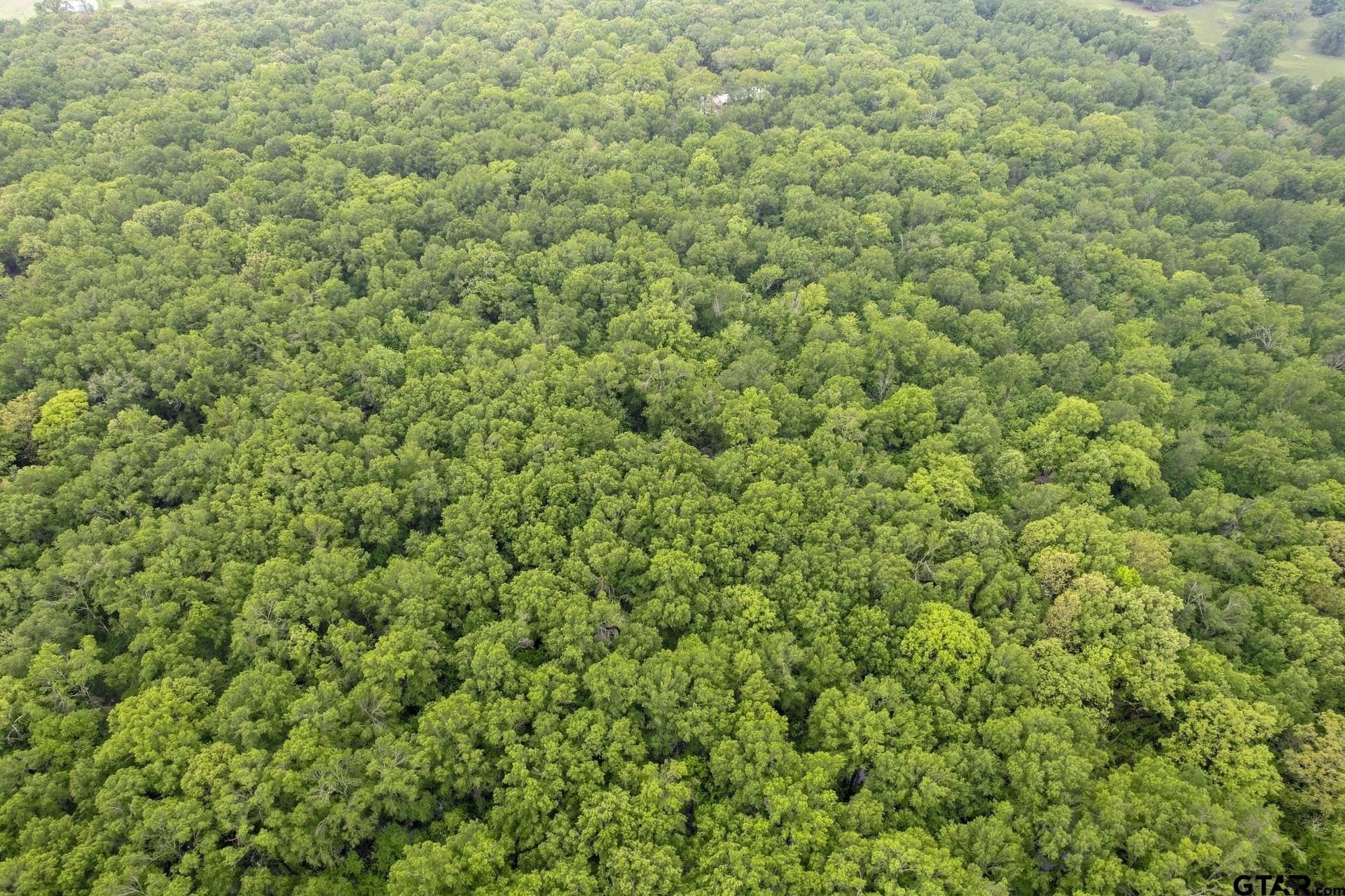 20 acres in Franklin County - photo 9