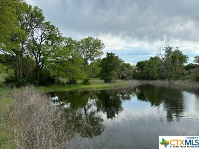 131 acres in McLennan County - photo 9