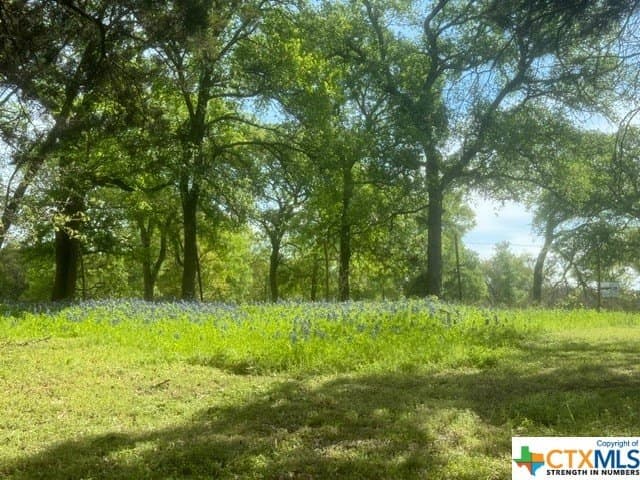 131 acres in McLennan County - photo 29