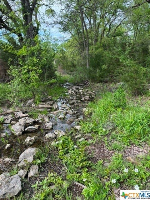 131 acres in McLennan County - photo 8