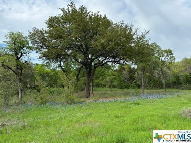 131 acres in McLennan County - photo 7