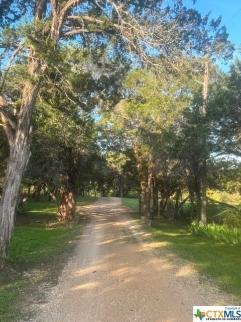 131 acres in McLennan County - photo 17