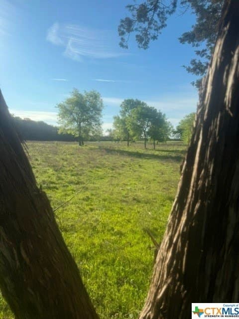 131 acres in McLennan County - photo 20