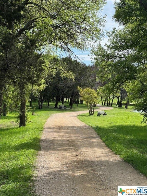 131 acres in McLennan County - photo 5