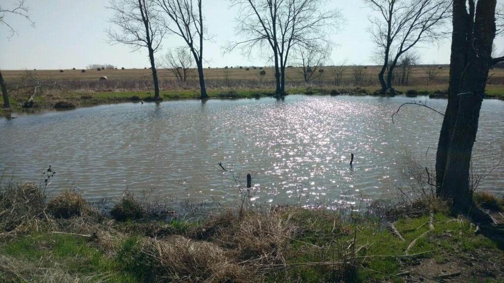 4 acres in Delta County - photo 6