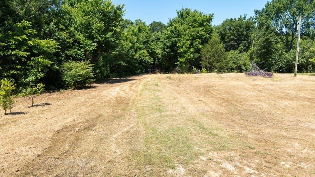 5 acres in Henderson County - photo 21