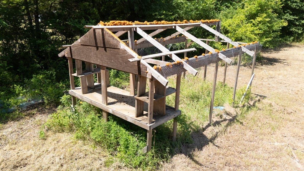 5 acres in Henderson County - photo 24