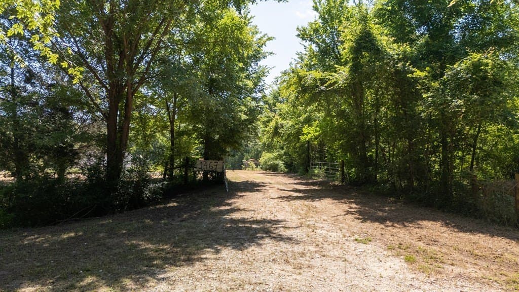 5 acres in Henderson County - photo 15