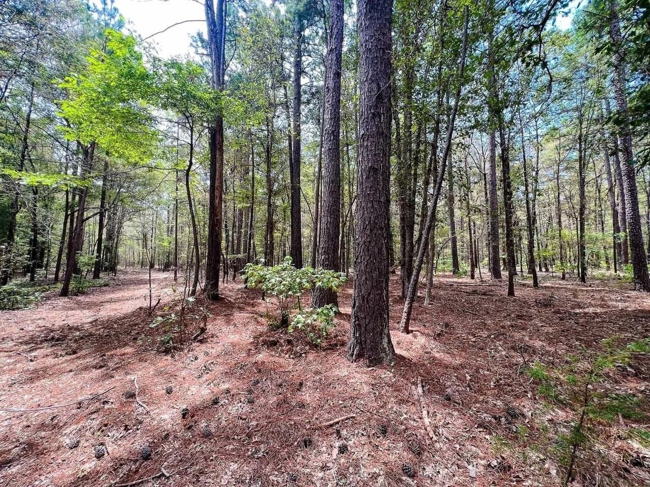 20 acres in Cherokee County - photo 2