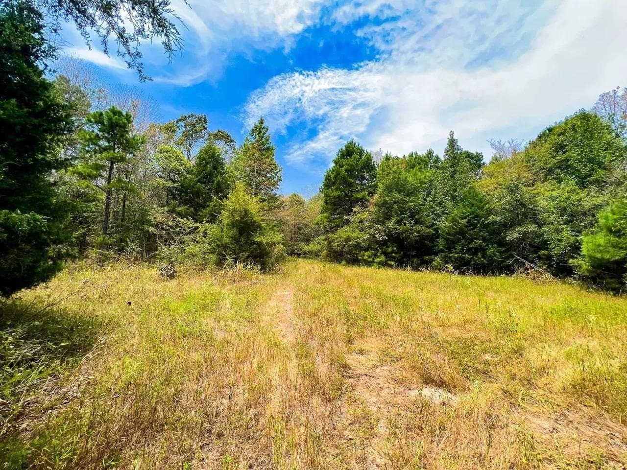20 acres in Cherokee County - photo 4