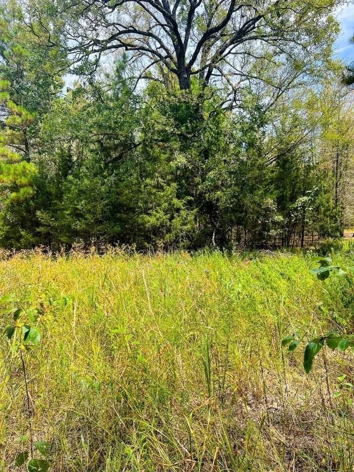 20 acres in Cherokee County - photo 3