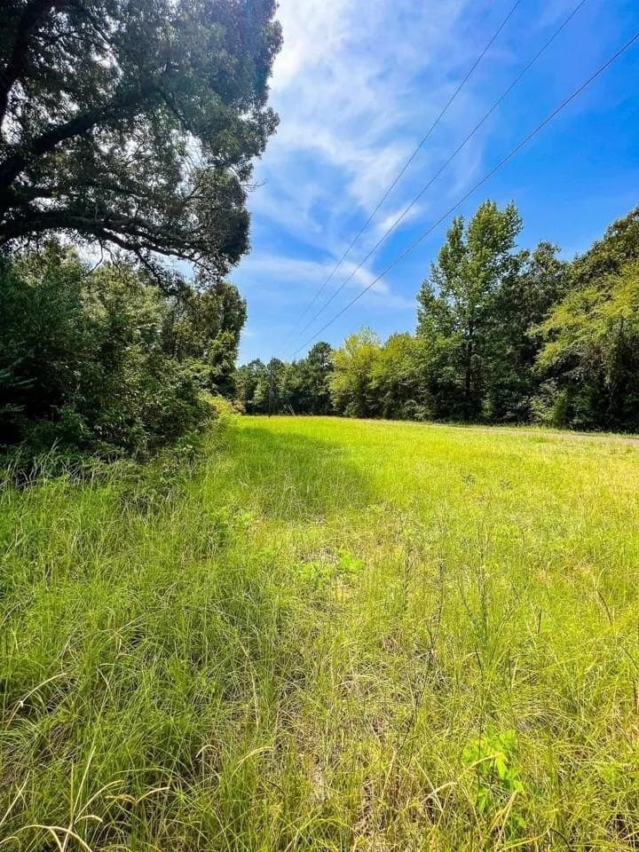 20 acres in Cherokee County - photo 5