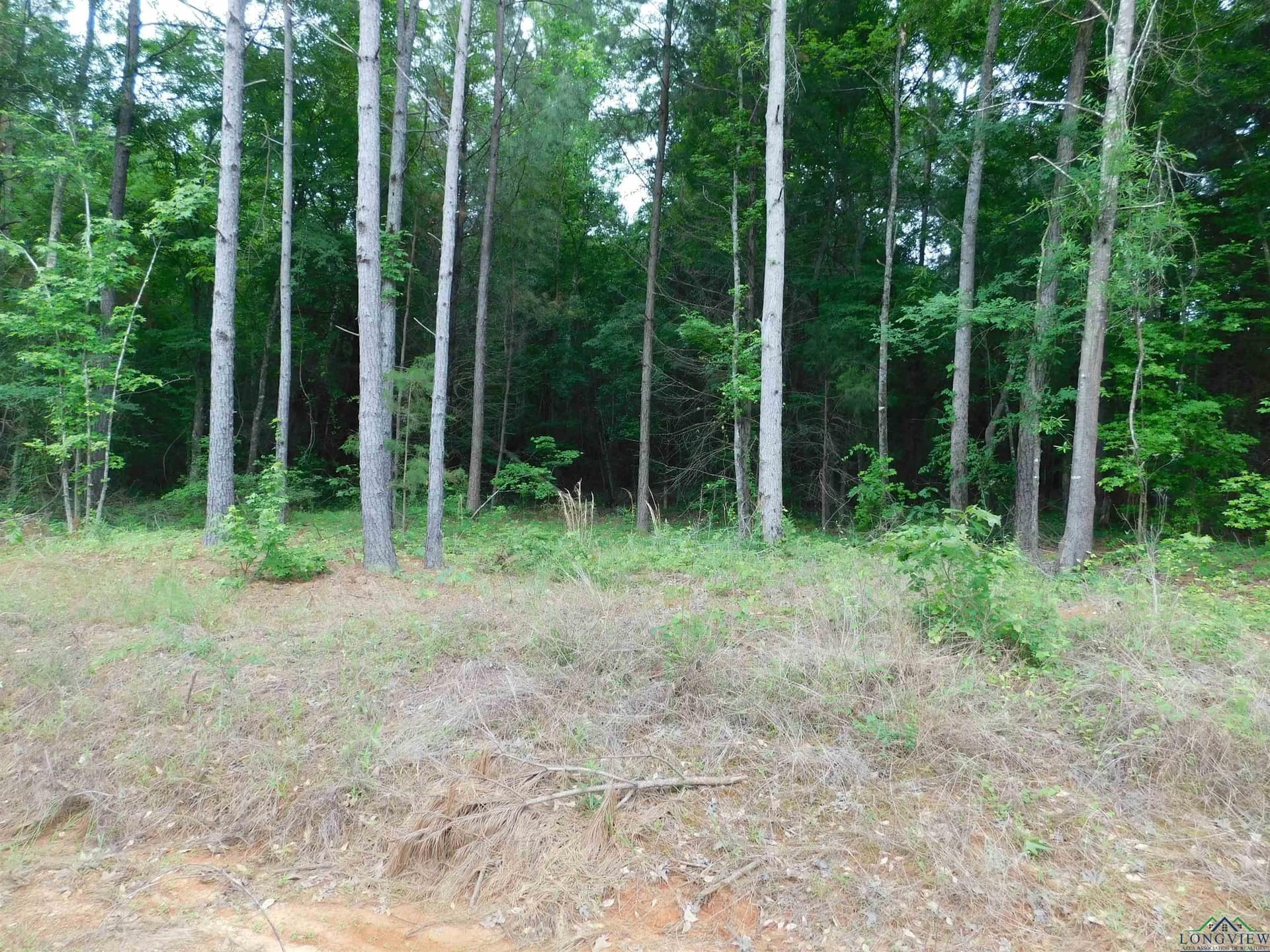 Tbd MEGAN MILLS RD