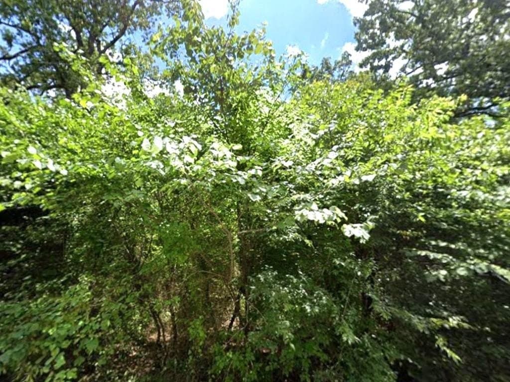 0.12 acres in Hunt County - photo 3