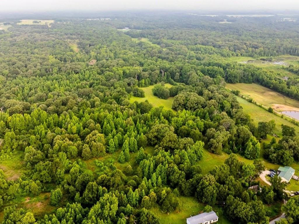 0.12 acres in Hunt County - photo 2