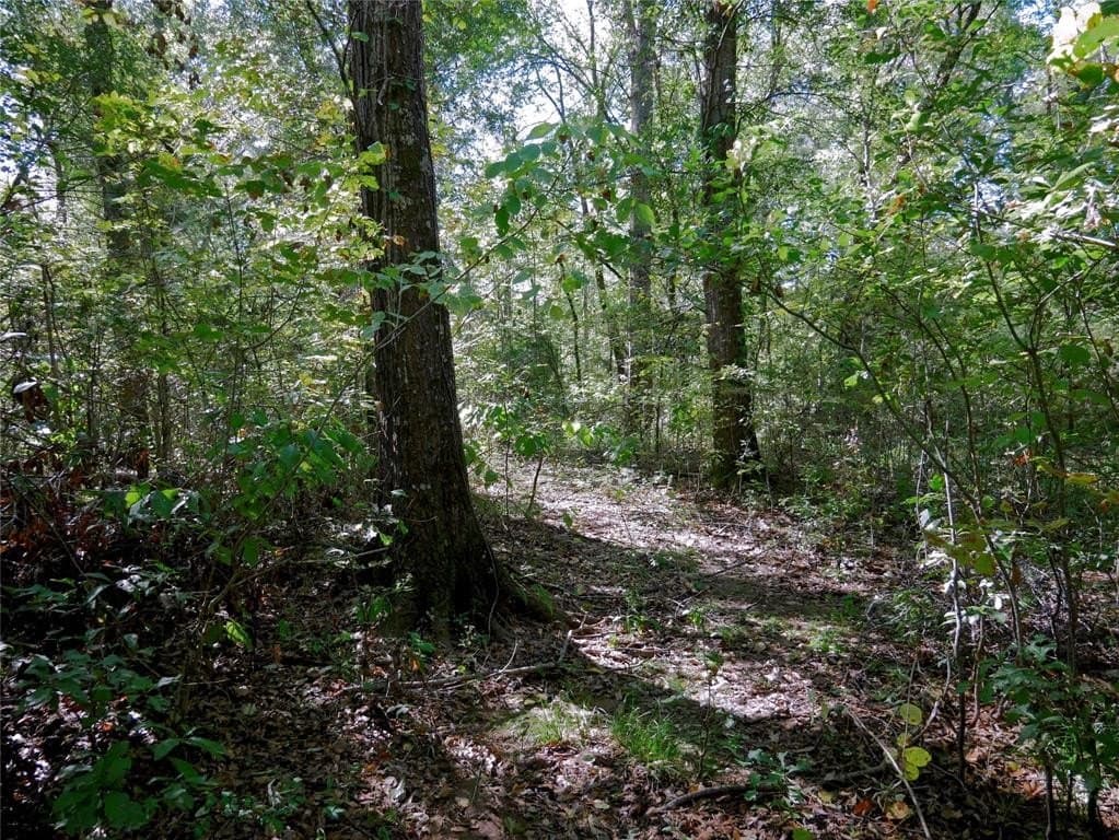 25.52 acres in Henderson County - photo 3