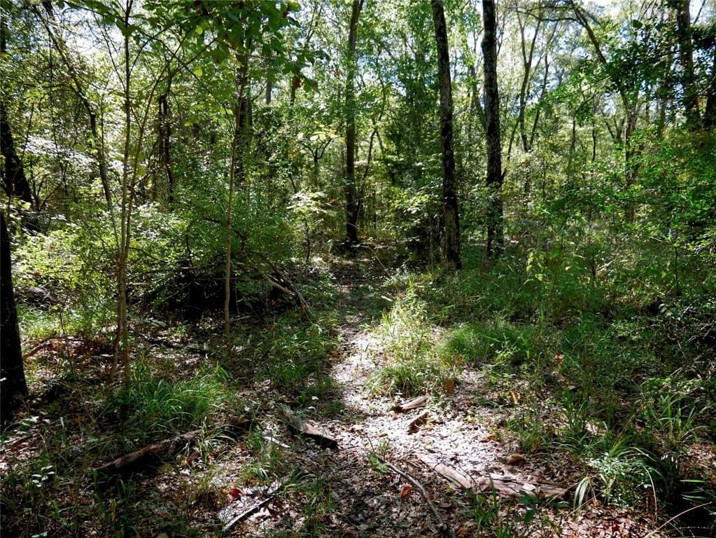 25.52 acres in Henderson County - photo 5