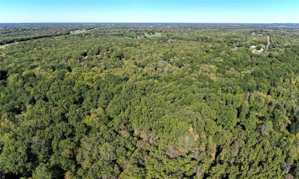 25.52 acres in Henderson County - photo 8