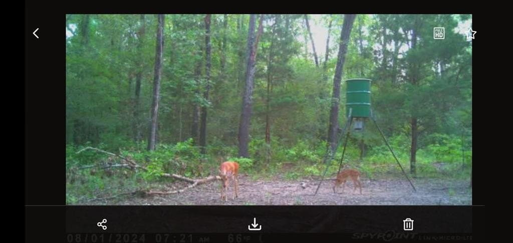 25.52 acres in Henderson County - photo 22