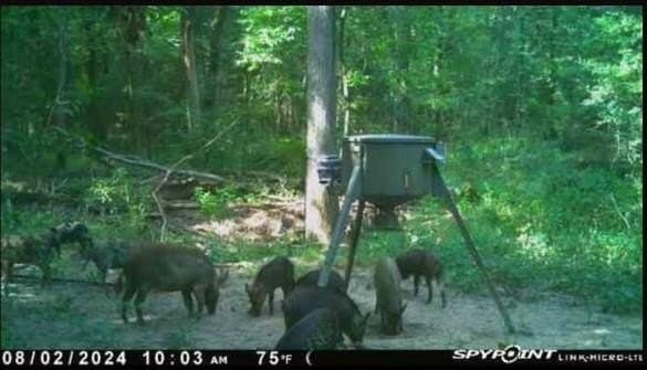 25.52 acres in Henderson County - photo 23