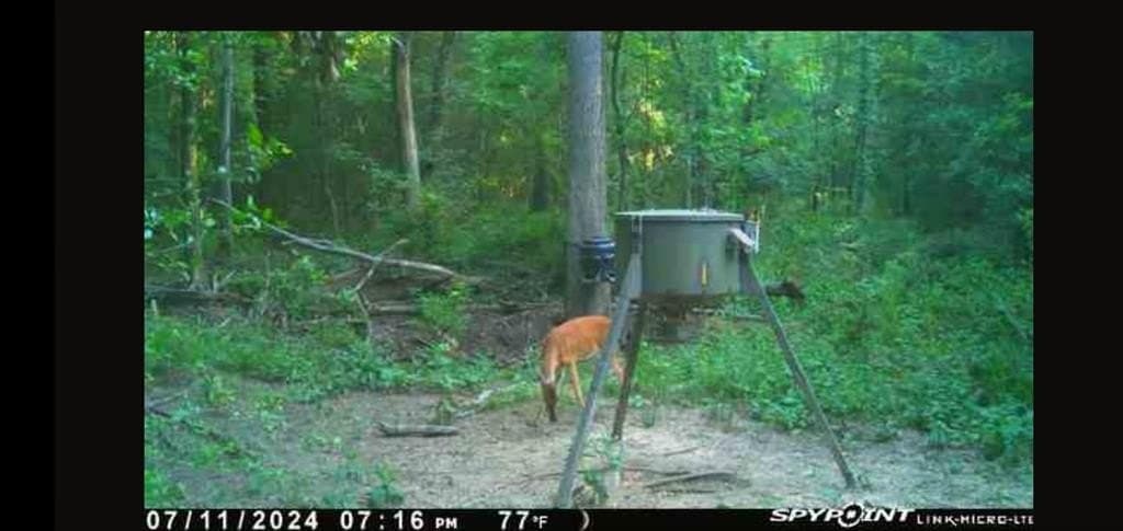 25.52 acres in Henderson County - photo 20