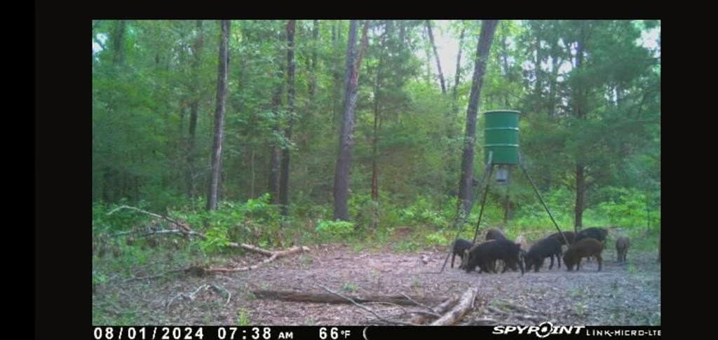 25.52 acres in Henderson County - photo 24