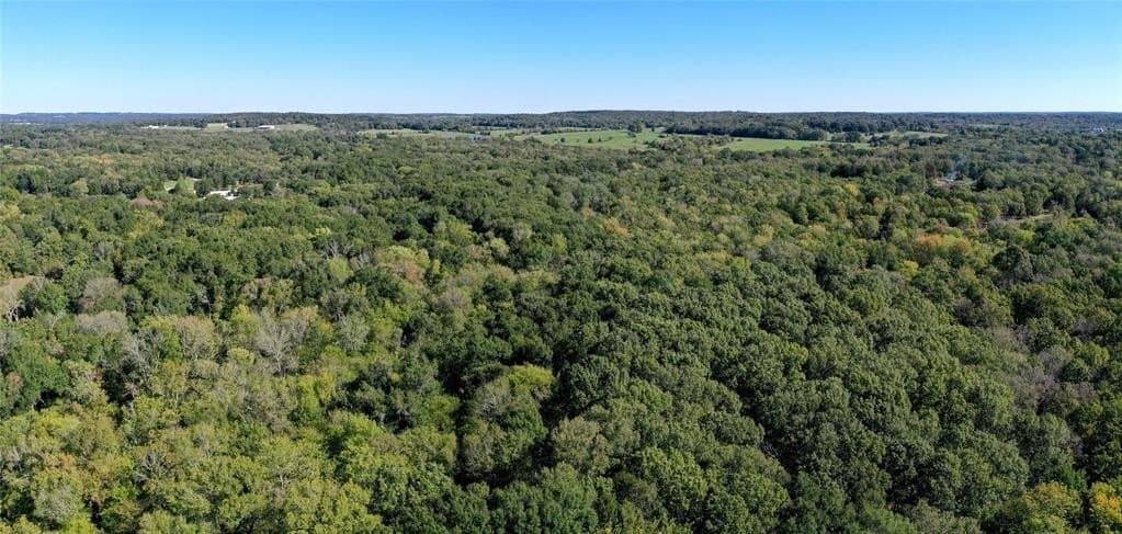 25.52 acres in Henderson County - photo 9