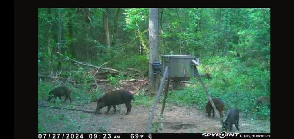25.52 acres in Henderson County - photo 21