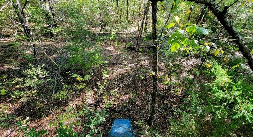 25.52 acres in Henderson County - photo 2