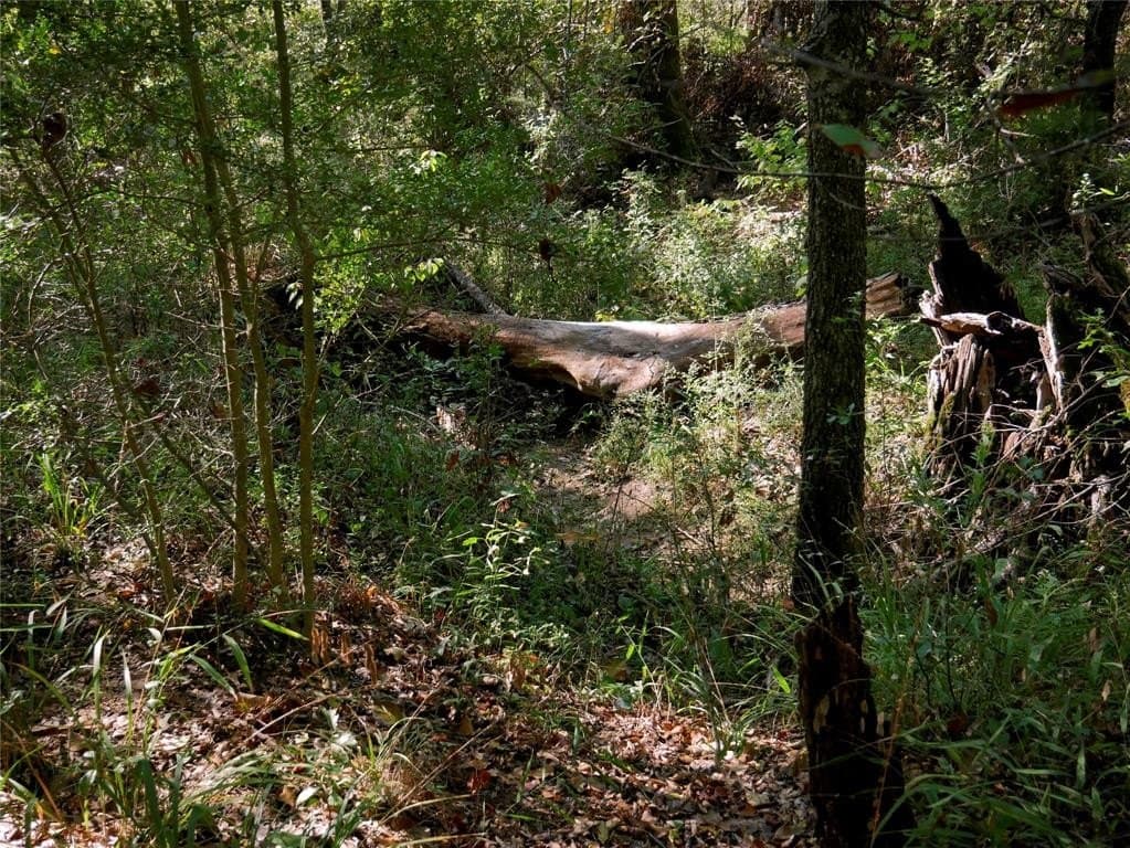 25.52 acres in Henderson County - photo 4
