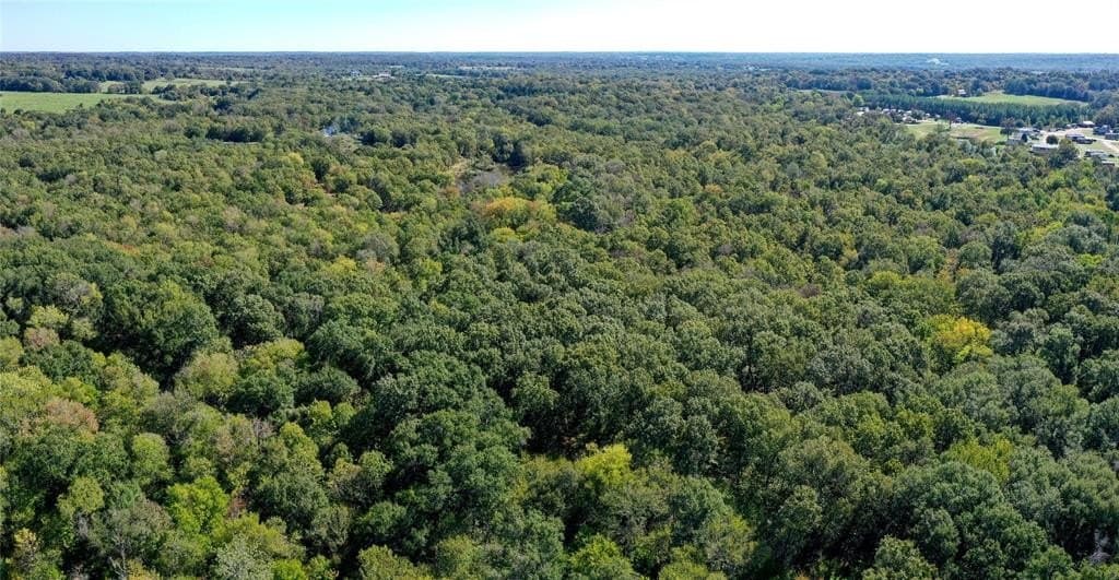 25.52 acres in Henderson County - photo 10